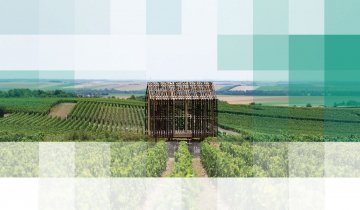 Découvrez le circuit des loges de vignes
